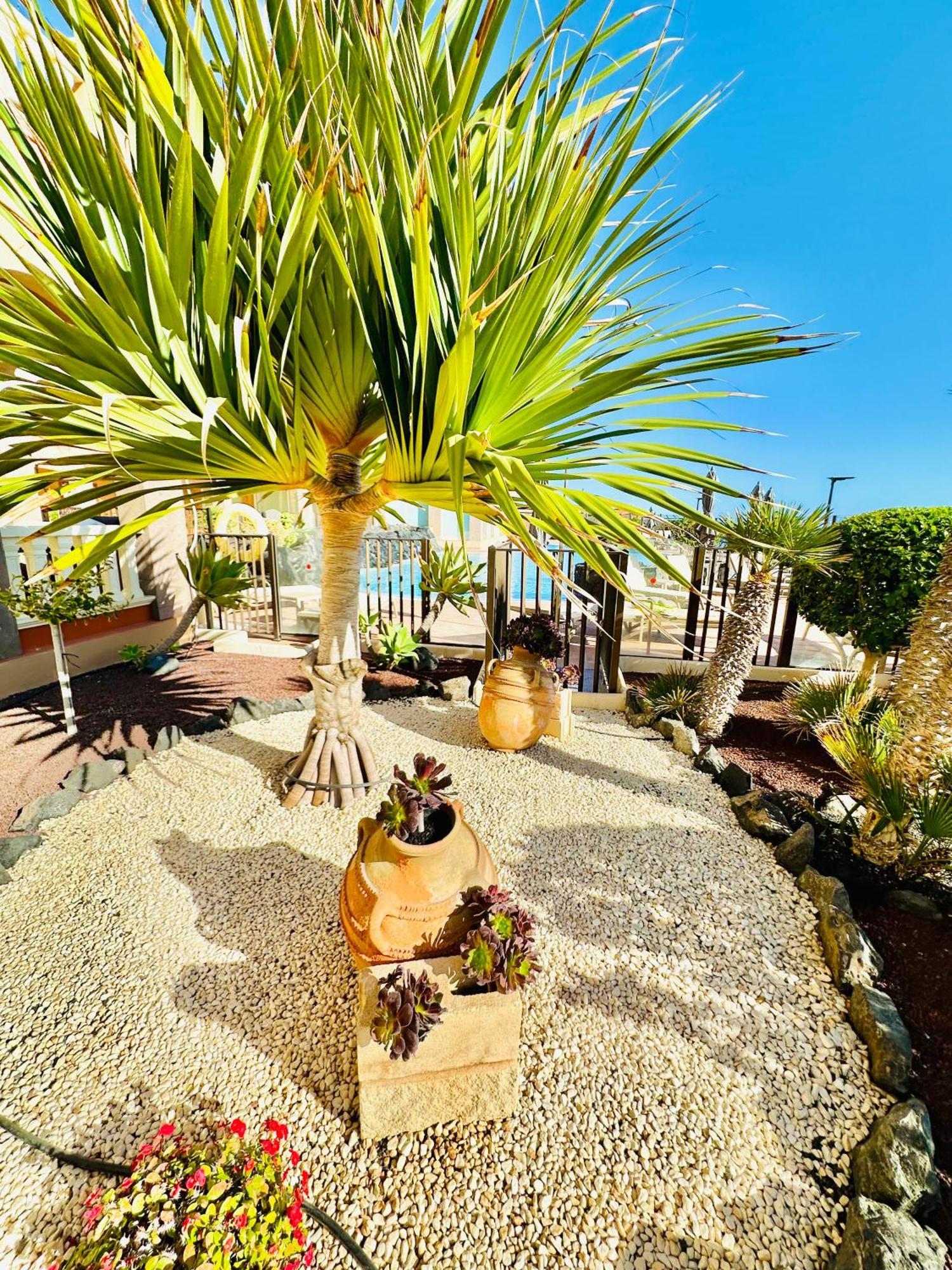 El Nautico Apartment San Miguel de Abona Buitenkant foto