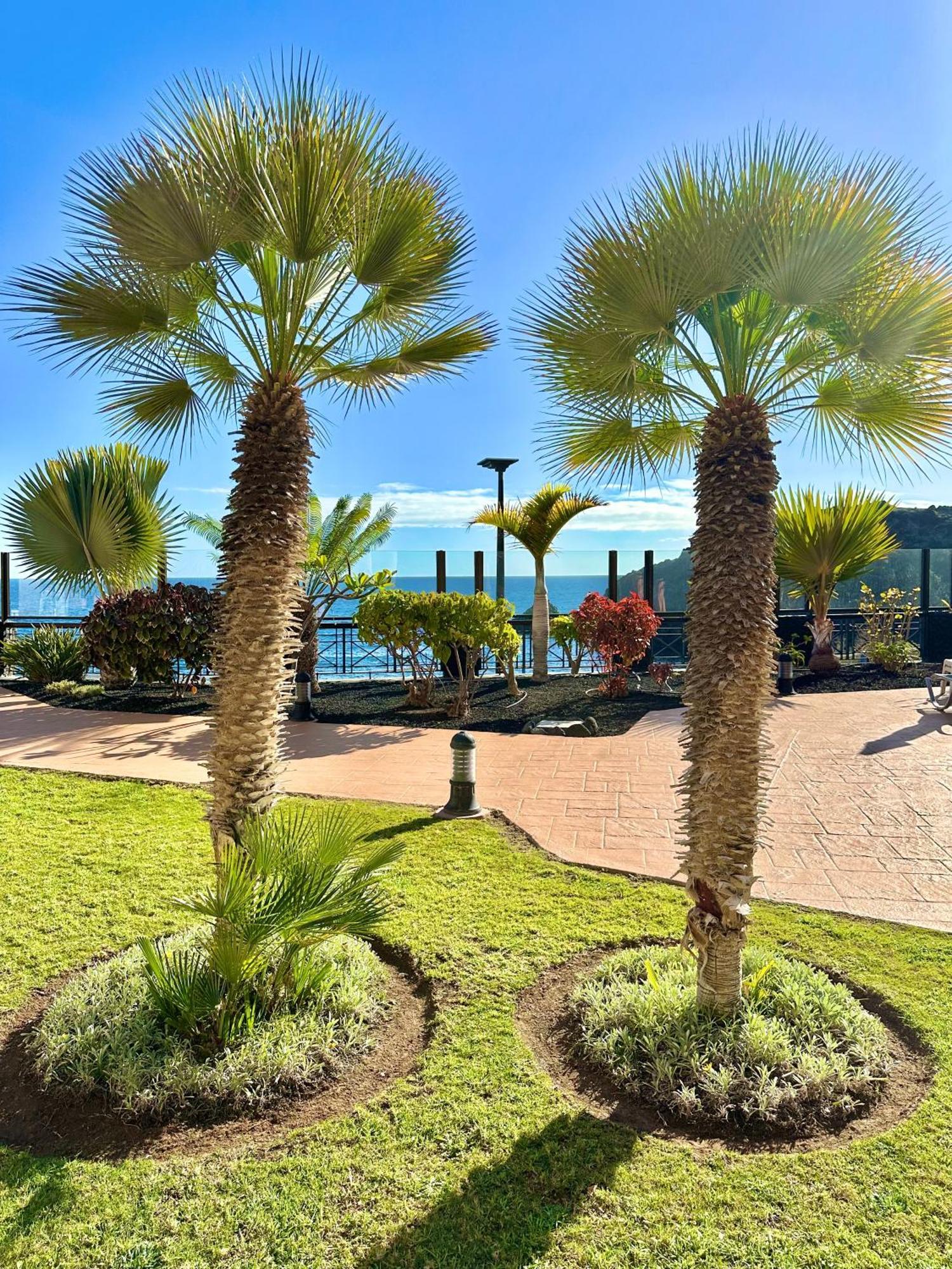 El Nautico Apartment San Miguel de Abona Buitenkant foto